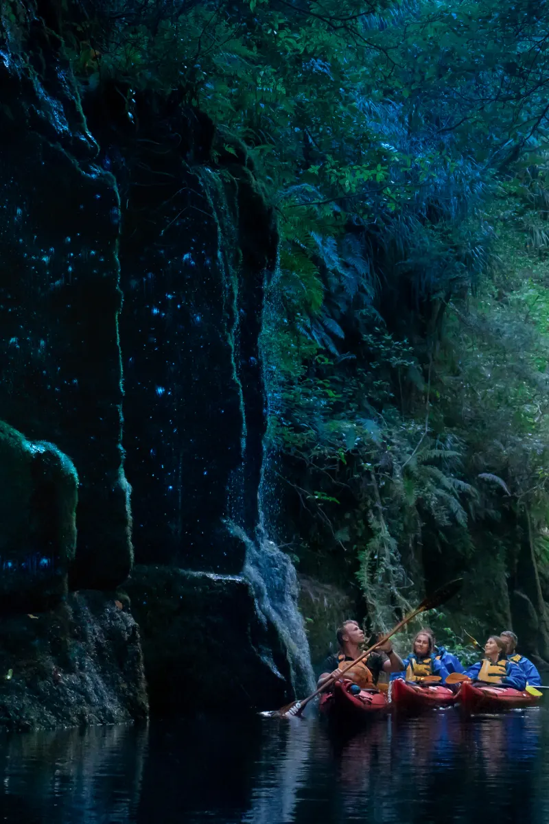 Guide pointing out glowworms beside a canyon waterfall at Lake McLaren