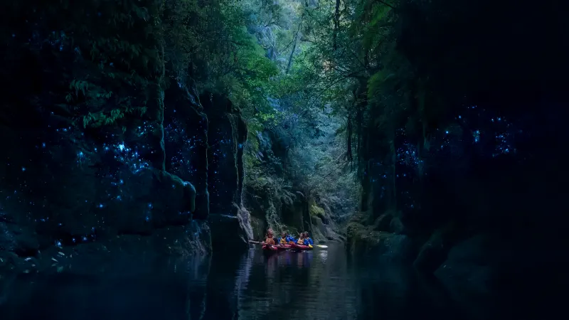 Kayakers drifting through the glowworm canyon, surrounded by thousands of lights on both walls