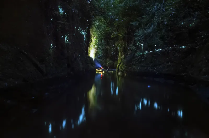 Glowworms and their reflections mirrored in the still dark water of the canyon