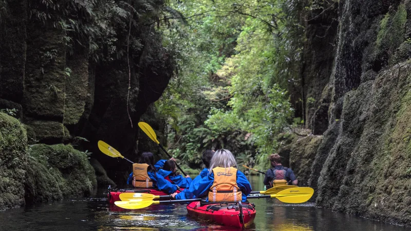 Paddling into the canyon on the Scenic Lake McLaren Kayak Tour