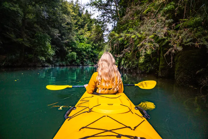 Paddling deep into the emerald canyon on the Scenic Lake McLaren Kayak Tour