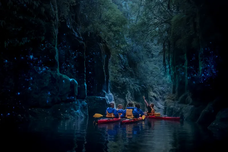 Kayakers beneath thousands of glowworms in Mangapapa Canyon, Lake McLaren, Tauranga