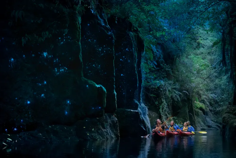 Inside the glowworm canyon at twilight