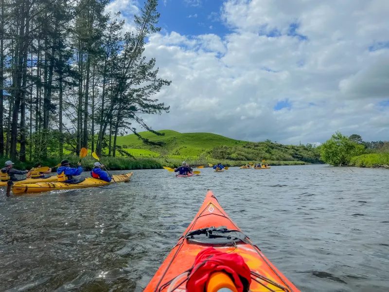Group kayaking along the Wairoa River near Omanawa, Tauranga