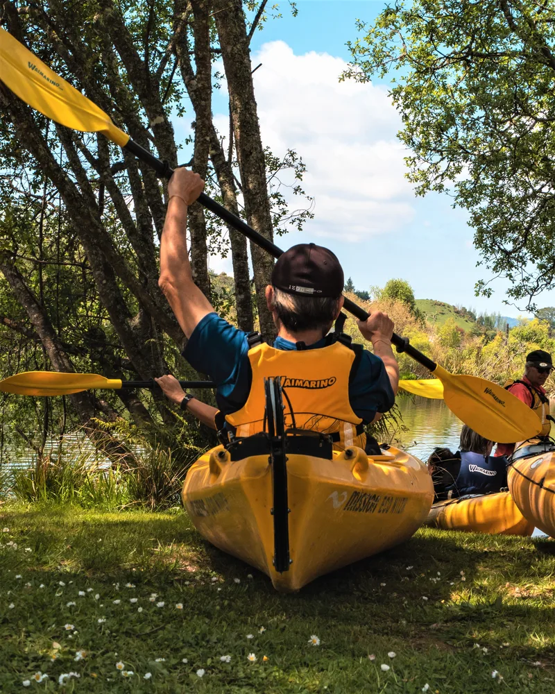 Paddles raised before setting out on the Wairoa River